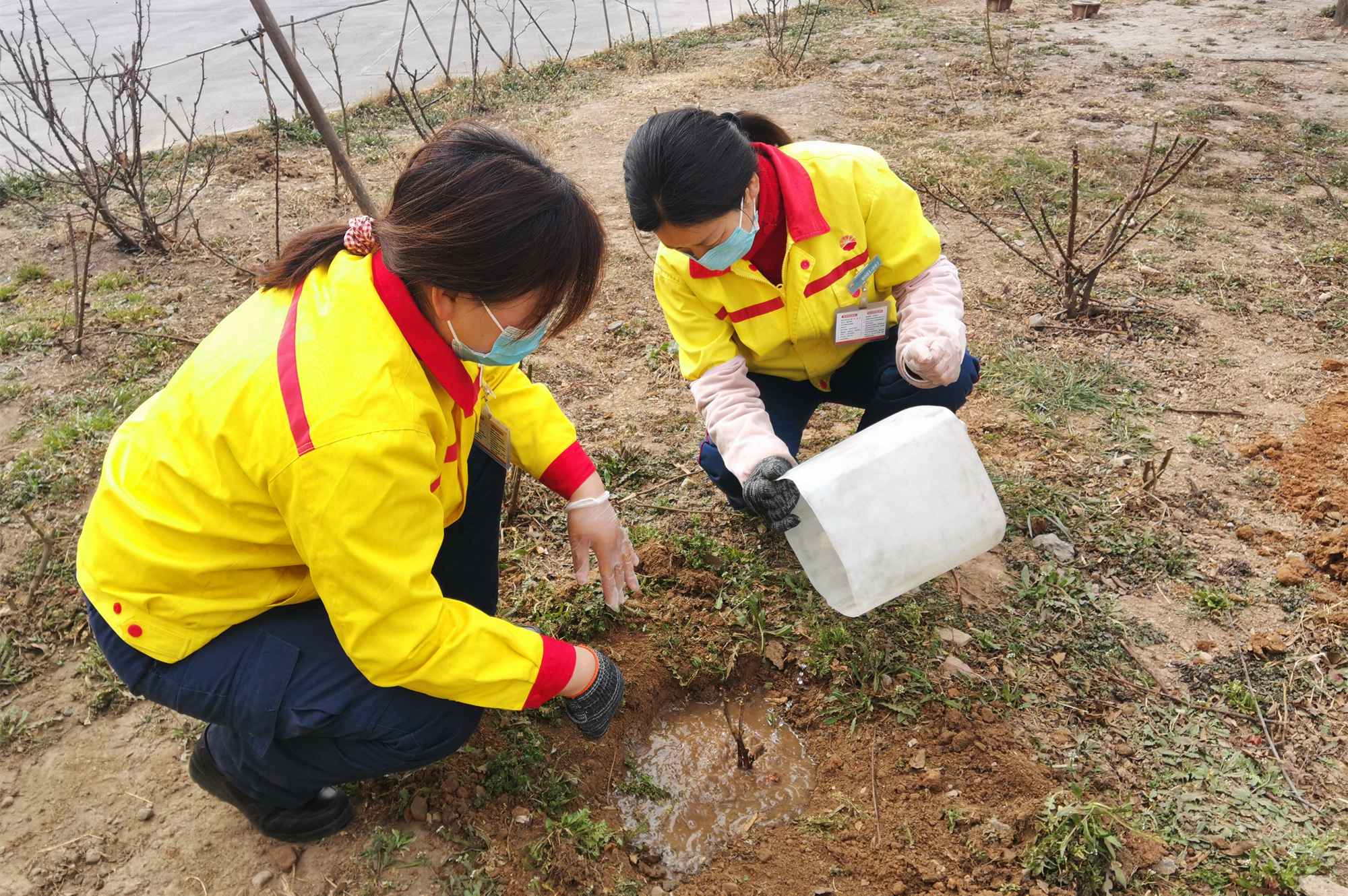 植树节.jpg